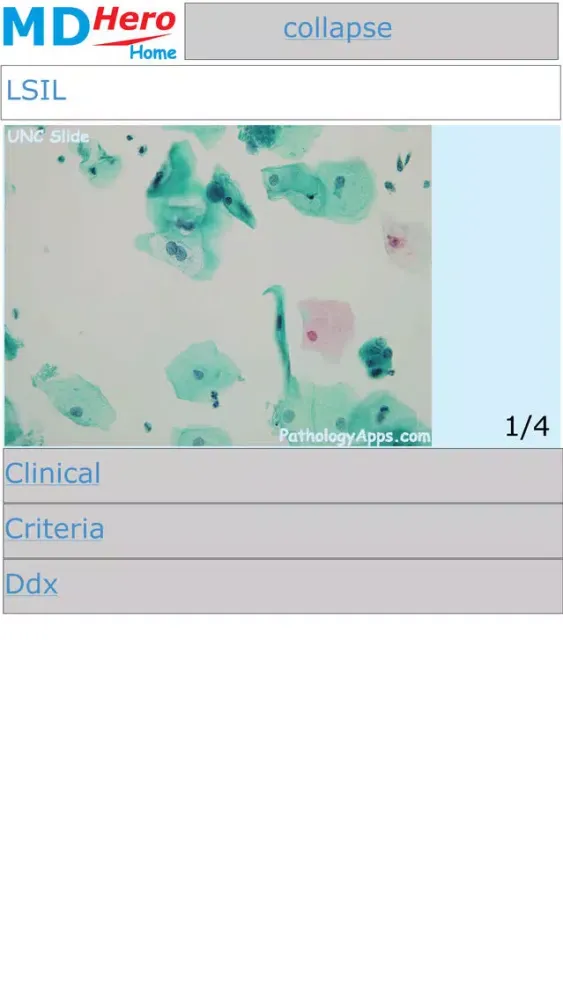 Capturas de tela do Cytology
