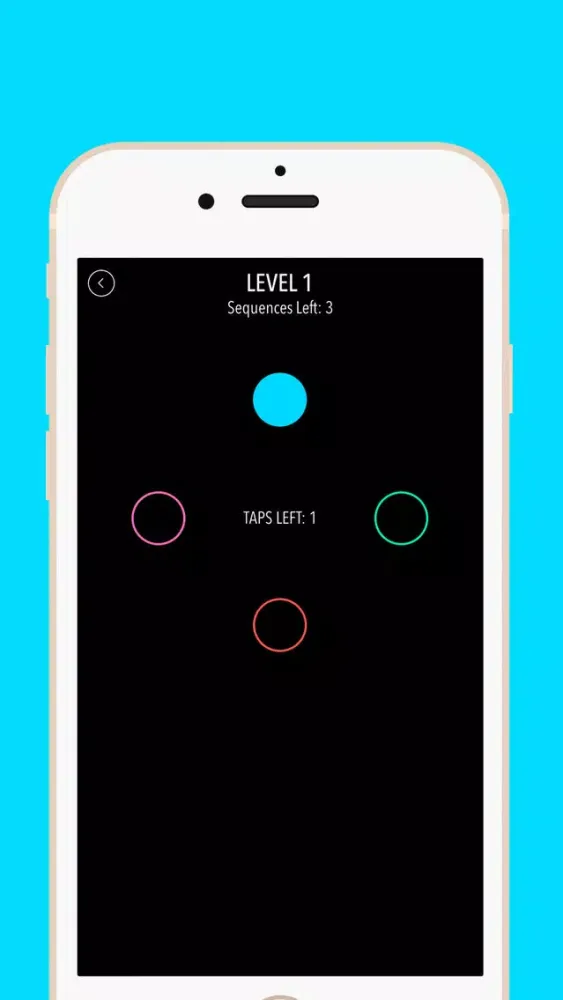 Screenshot di CircleMory 2