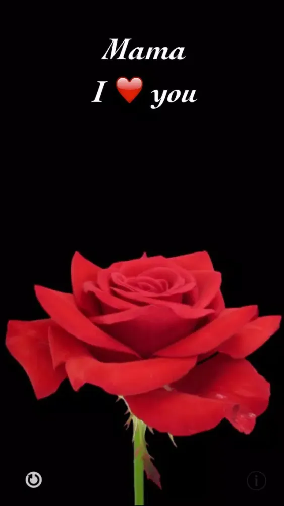 Capturas de pantalla de airRose