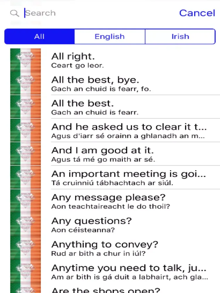 Скриншоты Irish Phrases Diamond 4K Edition iPad 