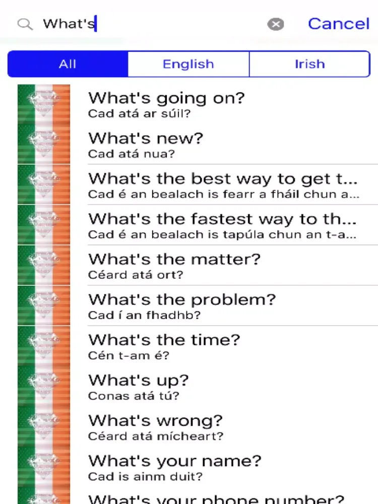 Скриншоты Irish Phrases Diamond 4K Edition iPad 