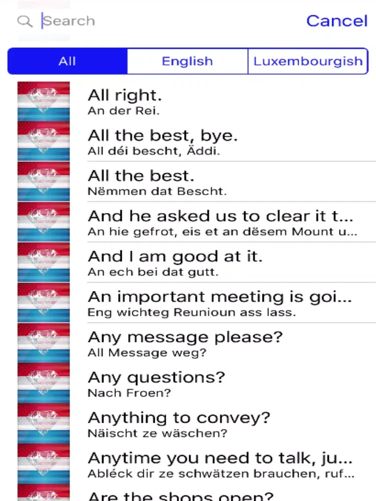 Luxembourgish Phrases Diamond 4K Edition iPad  스크린샷