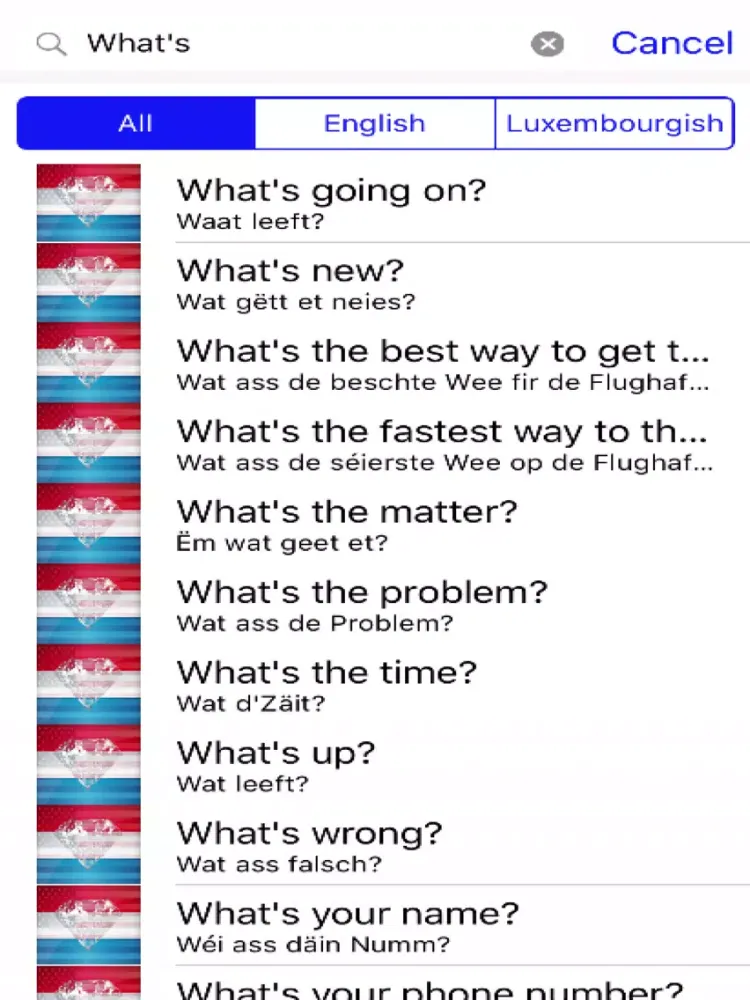 Luxembourgish Phrases Diamond 4K Edition iPad  스크린샷