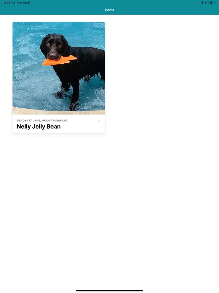 Salty Swimmer iPad  स्क्रीनशॉट