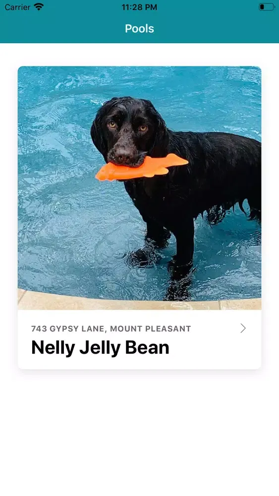 Salty Swimmer स्क्रीनशॉट
