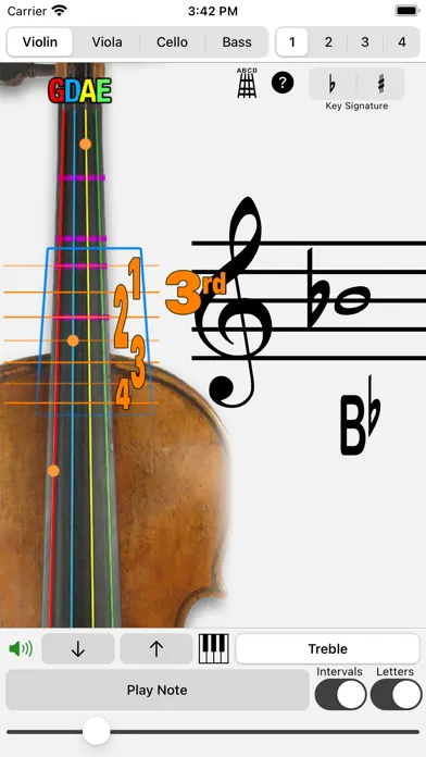 Fingering Strings for iPhone スクリーンショット