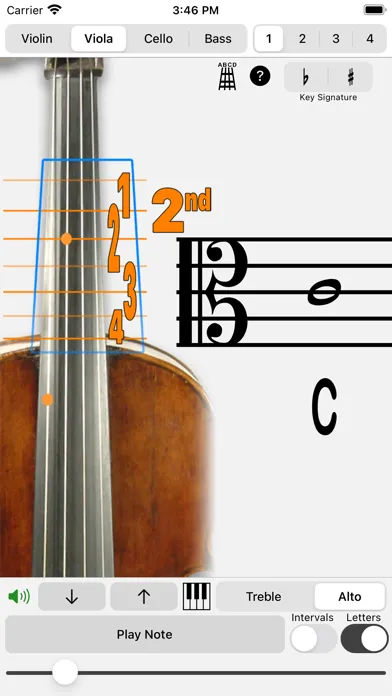 Fingering Strings for iPhone スクリーンショット