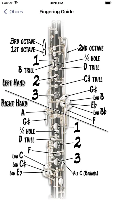 Fingering Woodwinds for iPhone應用截圖
