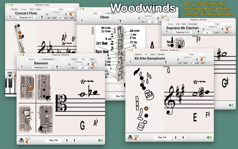 Fingering Woodwinds 2应用截图
