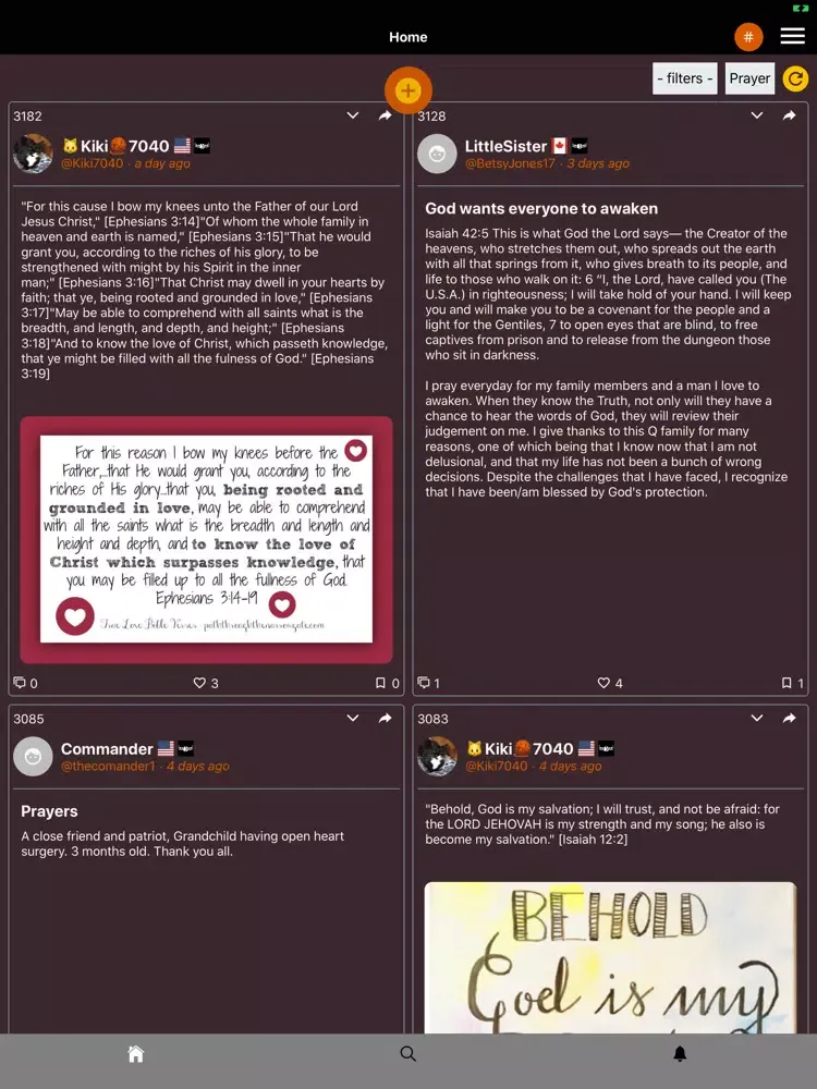 Armor of God (AOG) iPad 应用截图
