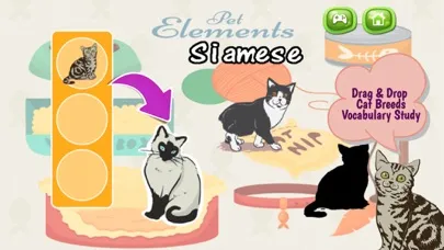 Cats And Kittens Shadow Matching Game স্ক্রিনশট