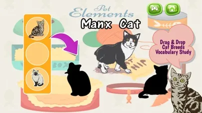 Cats And Kittens Shadow Matching Game স্ক্রিনশট