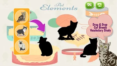 Cats And Kittens Shadow Matching Game স্ক্রিনশট