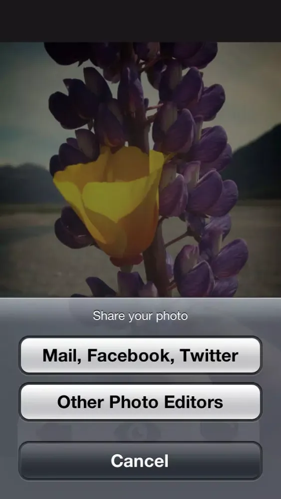 Tangkapan layar Photo FX - Add, Edit, & Share Photos