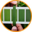 PAU Urea Guide PAU Urea Guide