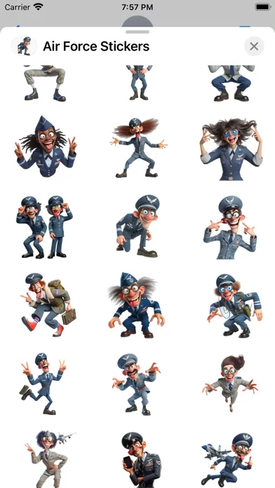 Zrzuty ekranu Air Force Stickers