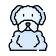 Bichon Frise Stickers