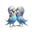 Budgie Kiss Stickers
