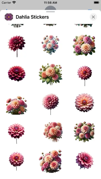 Dahlia Stickers Screenshots