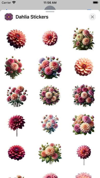 Dahlia Stickers Screenshots