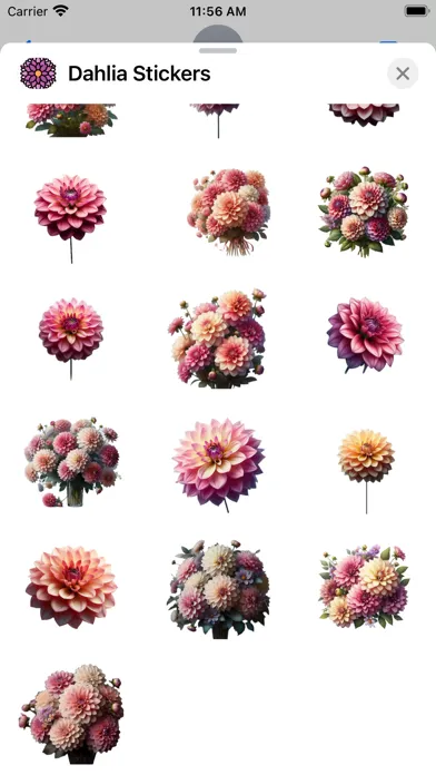 Dahlia Stickers Screenshots
