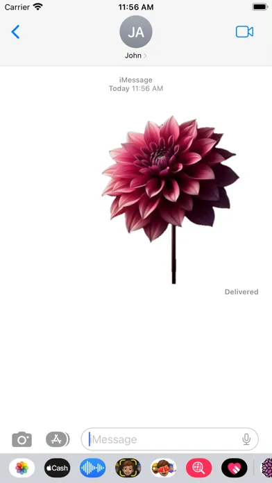Dahlia Stickers Screenshots