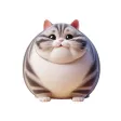 Fat American Shorthair Cat