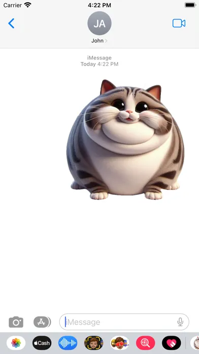 Fat American Shorthair Cat 스크린샷