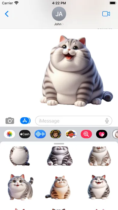 Fat American Shorthair Cat 스크린샷