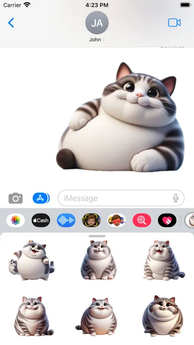 Fat American Shorthair Cat 스크린샷