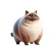 Fat Siamese Cat Stickers Fat Siamese Cat Stickers