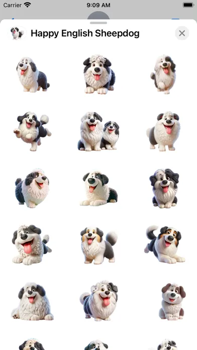 Happy English Sheepdog Screenshots