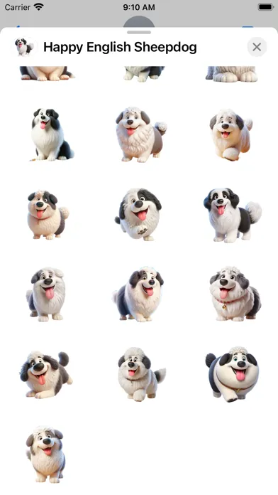 Happy English Sheepdog Screenshots