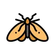Moth Stickers Moth Stickers