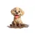 Muddy Labrador Stickers