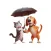 Raining Cats and Dogs
