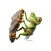 Rock Climber Frog Stickers
