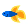 Siamese Fighting Fish Stickers