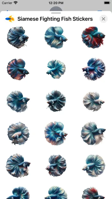 Siamese Fighting Fish Stickers سکرین شاٹس