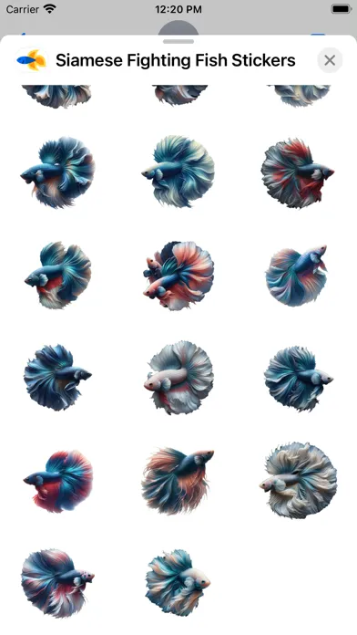 Siamese Fighting Fish Stickers سکرین شاٹس