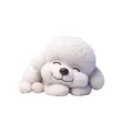 Sleeping Bichon Frise Stickers