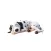 Sleeping Dalmation Stickers
