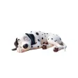 Sleeping Dalmation Stickers Sleeping Dalmation Stickers