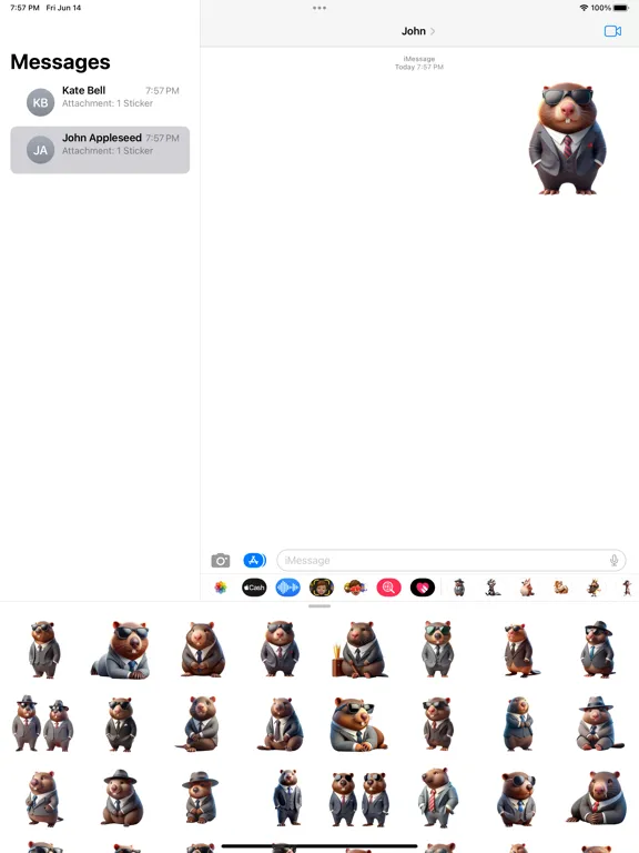 Well-Dressed Wombat Stickers iPad 應用截圖