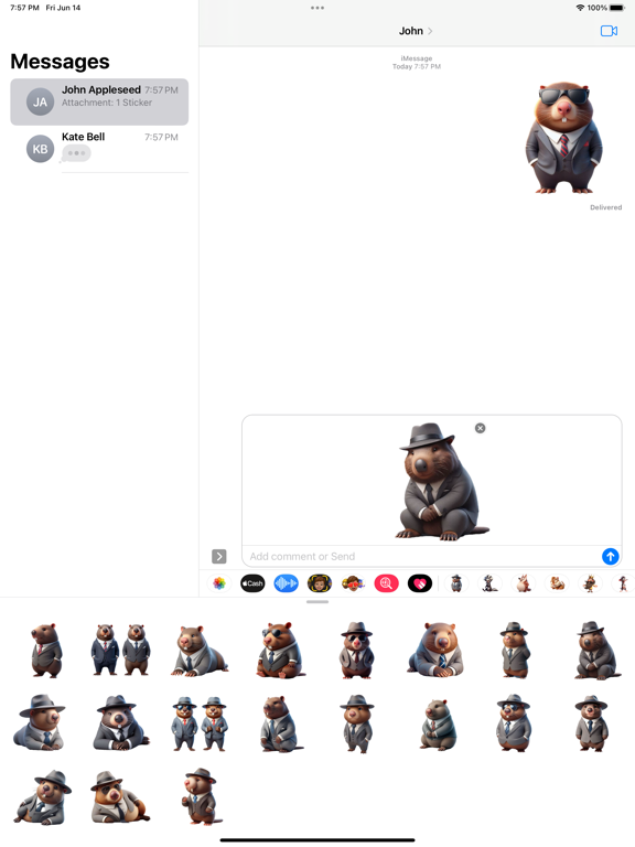 Well-Dressed Wombat Stickers iPad  سکرین شاٹس