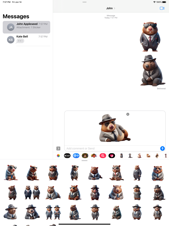 Well-Dressed Wombat Stickers iPad  سکرین شاٹس