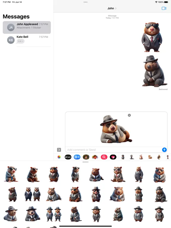 Well-Dressed Wombat Stickers iPad 應用截圖