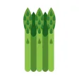Asparagus Stickers Asparagus Stickers