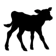 Calf Stickers Calf Stickers