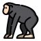 Chimp Stickers